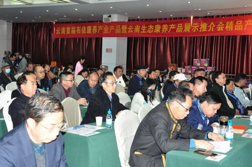 花米饭香传千年，百越光影映新篇——云南百越文化为影视创作论坛奠基造势